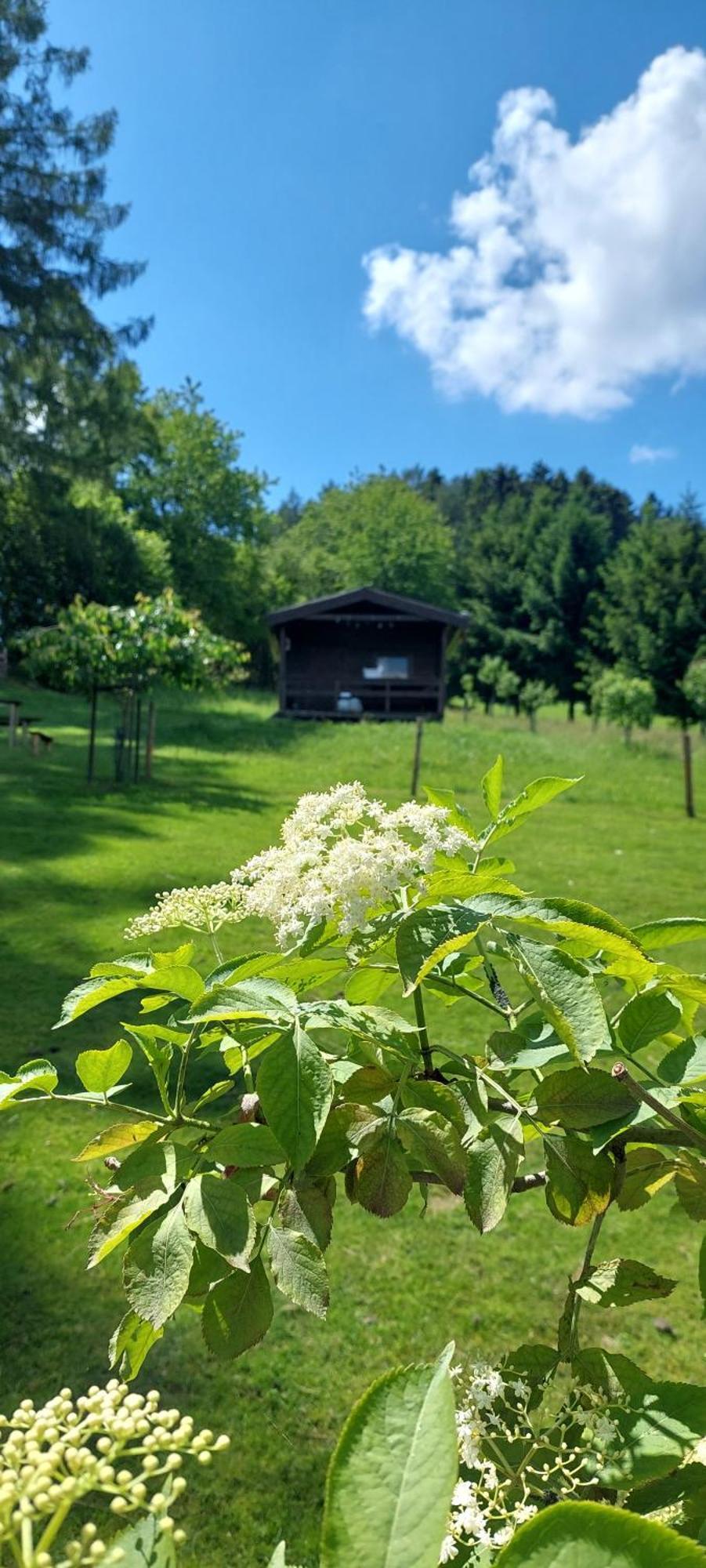 Chata Na Samote, Sumava Vrhavec Exterior photo